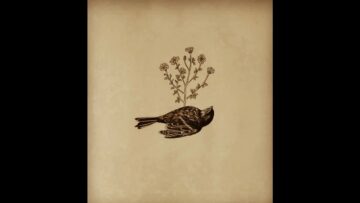 Prywatny: [ID: 3YMaf-_I8Y8] Youtube Automatic