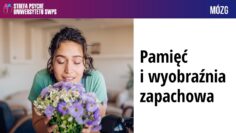 Prywatne: [ID: xKd6z7evTRY] Youtube Automatic