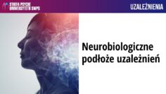 Prywatne: [ID: sY3tZdS15GY] Youtube Automatic