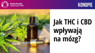 Prywatne: [ID: ITgm8Rv98Wc] Youtube Automatic