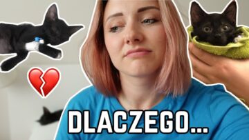 Prywatne: [ID: LZTm0Aqthpc] Youtube Automatic