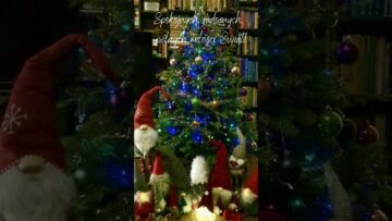 Prywatne: [ID: _M0WBf2vcJY] Youtube Automatic