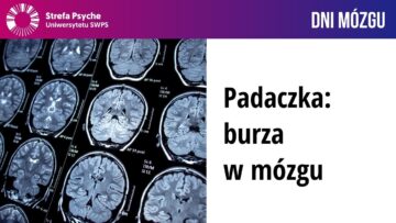 Prywatne: [ID: xCvsd_vzHhw] Youtube Automatic