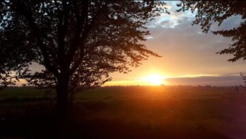 Prywatne: [ID: d1fpfAuo72Y] Youtube Automatic