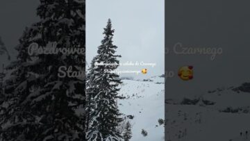 Prywatne: [ID: _JK-omqGHn4] Youtube Automatic