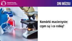 Prywatne: [ID: DQ4uz6vRl9M] Youtube Automatic