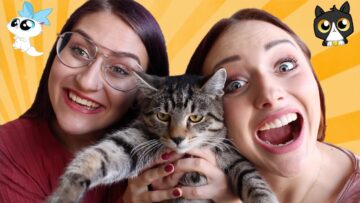 Prywatne: [ID: MkcRAL8pmAg] Youtube Automatic