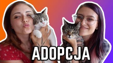 Prywatne: [ID: sWZoBUkL5xM] Youtube Automatic