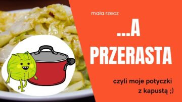 Prywatne: [ID: VdZFljtqytk] Youtube Automatic