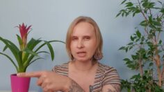 Prywatne: [ID: nAftQF8fdms] Youtube Automatic