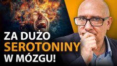 [ID: _k6ZIc22JPo] Youtube Automatic